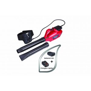 pack-souffleur-a-batterie-hhb36axbe-honda-1-1.jpg