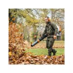 stihl-souffleur-a-dos-br800-c-e-1.jpg